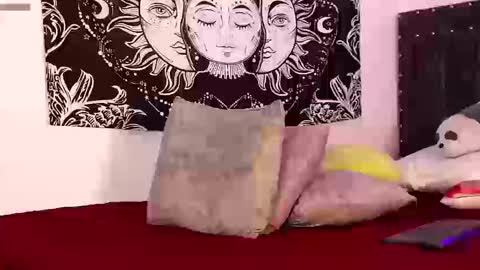 Raven online show from March 13, 11:11 pm