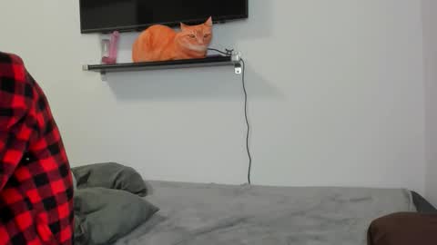 Snapshot of raveneusbiter chatting on February 10, 11:25 am Raveneusbiter online show from February 10, 11:25 am