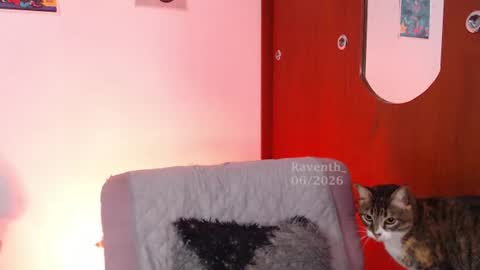 raventh_ online show from July 2, 5:57 am