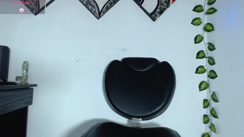 Snapshot of raycatt chatting on February 12, 4:54 am Ray online show from February 12, 4:54 am