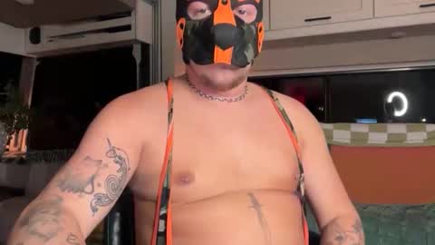 RayWilderXXX online show from November 3, 5:52 am