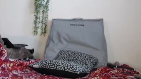 Snapshot of real_36_dd chatting on February 24, 4:15 pm Fannie online show from February 24, 4:15 pm