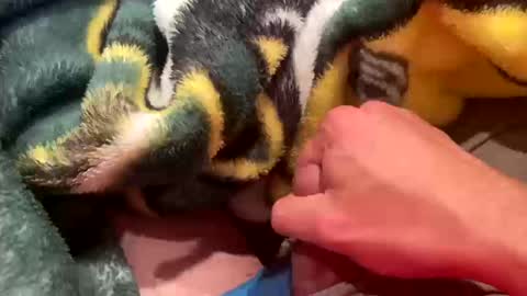 Snapshot of realbigload77 chatting on October 11, 2:55 am realbigload77 online show from October 11, 2:55 am