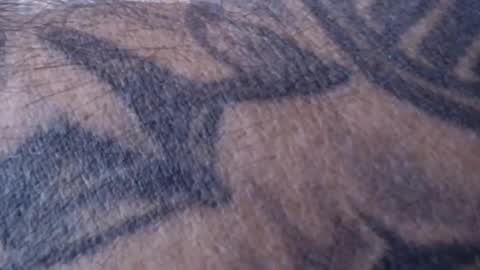 Snapshot of realrubpirate chatting on January 18, 9:02 am realrubpirate online show from January 18, 9:02 am