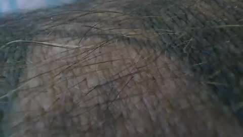 Snapshot of realrubpirate chatting on October 19, 9:21 am realrubpirate online show from October 19, 9:21 am