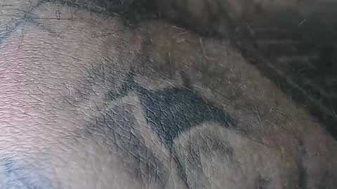 Snapshot of realrubpirate chatting on November 2, 6:38 am realrubpirate online show from November 2, 6:38 am