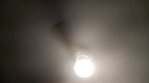 red24devils online show from January 8, 5:37 am