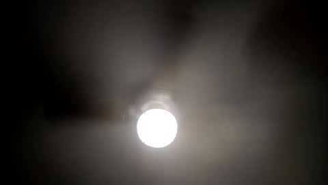 red24devils online show from January 15, 5:29 am