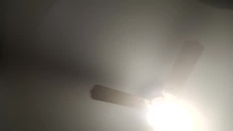 red24devils online show from February 5, 6:35 am