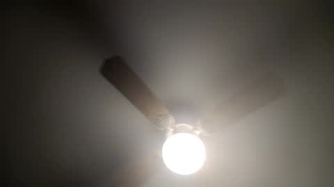 red24devils online show from February 14, 4:26 am