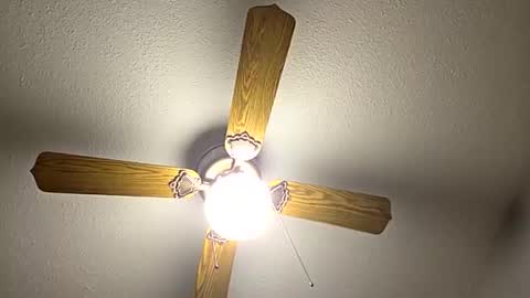 red24devils online show from September 12, 12:11 am