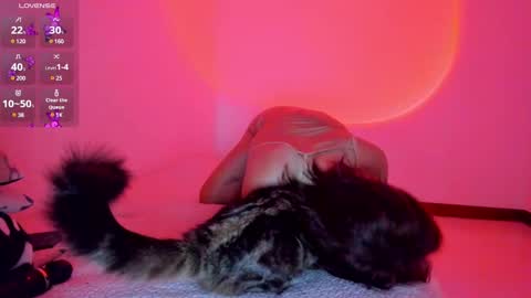 Snapshot of red_morgan chatting on January 19, 2:04 am red_morgan online show from January 19, 2:04 am