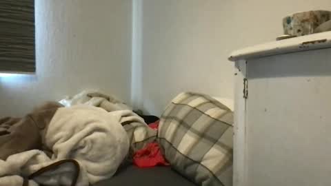 Snapshot of redfoxofficial chatting on March 30, 8:59 am Redfox online show from March 30, 8:59 am