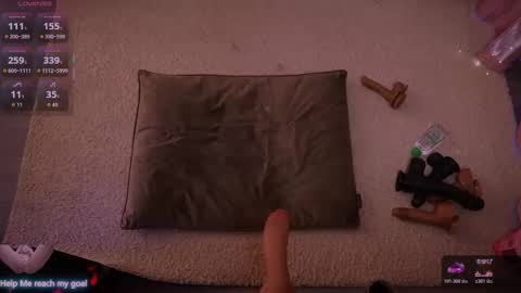 Snapshot of redhead_shark chatting on January 9, 1:14 pm Redhead Shark online show from January 9, 1:14 pm