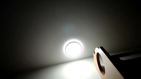 Lenae Redd online show from March 28, 3:39 am