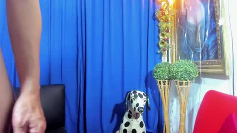 MIA online show from February 8, 4:04 pm