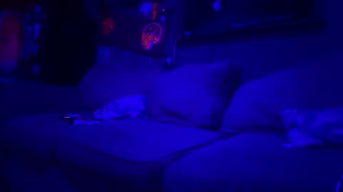 Snapshot of reeferleefer chatting on March 10, 1:54 am Lee online show from March 10, 1:54 am