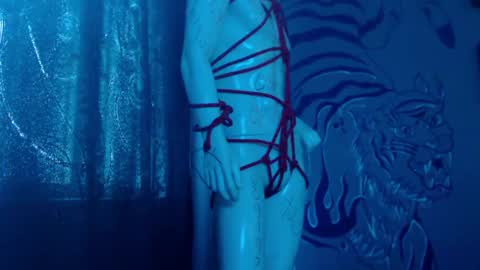 Regina online show from April 28, 12:10 pm