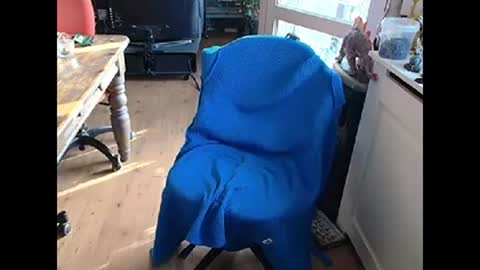 Snapshot of relaxyio chatting on March 10, 7:42 am relaxyio online show from March 10, 7:42 am