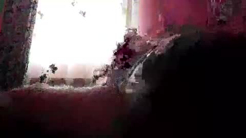 remus60 online show from February 23, 10:12 am