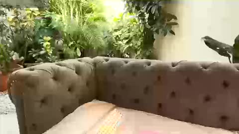 Snapshot of renata_gomez03 chatting on September 13, 1:22 pm S T A C Y online show from September 13, 1:22 pm