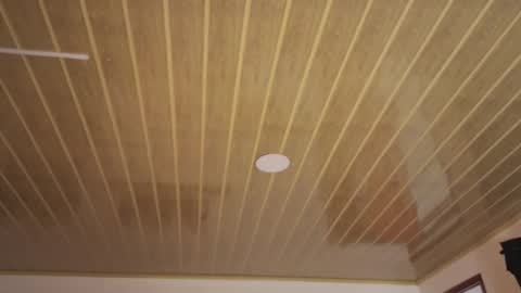 renaxi_smith online show from December 20, 7:32 pm