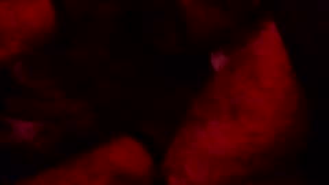 renuetto online show from October 13, 5:40 am