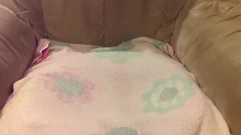 Snapshot of rexxarr chatting on September 17, 5:47 pm Mark online show from September 17, 5:47 pm