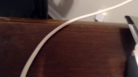 Trae online show from February 17, 1:10 pm