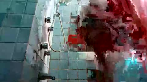 Ricco online show from January 11, 3:17 pm