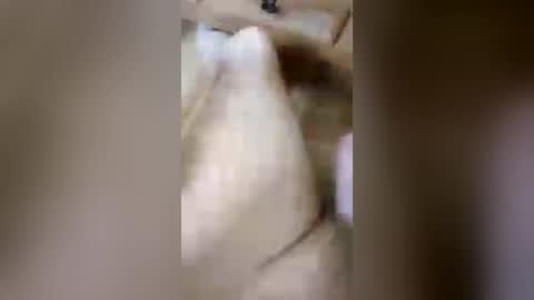 richie299878261 online show from August 9, 10:42 am