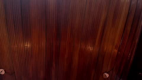 kamila online show from December 24, 2:12 pm