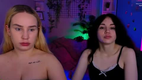 Meow online show from June 13, 7:12 pm