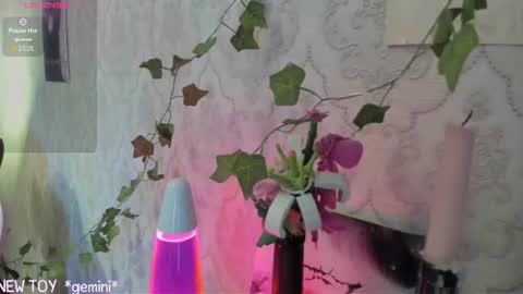 Snapshot of rileynymph chatting on July 25, 3:15 am My name is Riley Like my broadcast pls 3 online show from July 25, 3:15 am