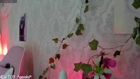 Snapshot of rileynymph chatting on July 26, 7:26 am My name is Riley Like my broadcast pls 3 online show from July 26, 7:26 am