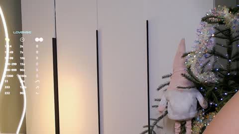 Snapshot of rinassecret chatting on December 25, 8:29 am Rina online show from December 25, 8:29 am