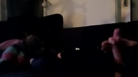 robbdmser3454 online show from March 6, 8:55 am