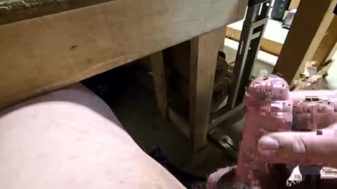 robbiebob6828 online show from January 14, 11:31 pm