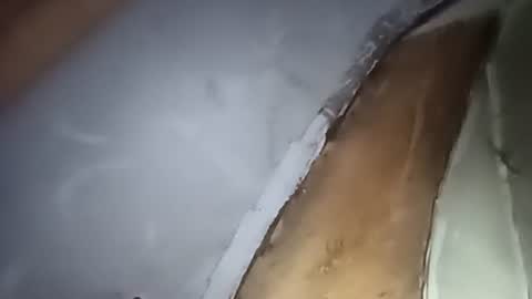 Snapshot of robincom23 chatting on October 1, 4:29 am R online show from October 1, 4:29 am