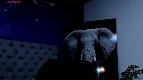 rocco_santos online show from September 17, 8:27 am