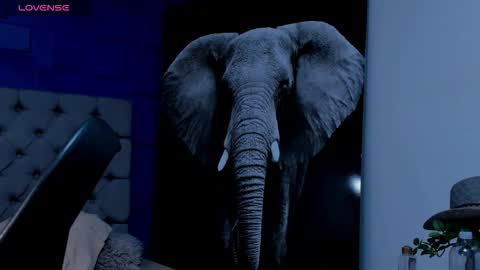 rocco_santos online show from September 19, 7:10 am