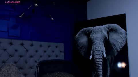 rocco_santos online show from September 21, 7:21 am