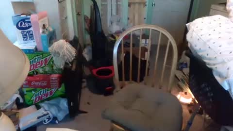 Snapshot of rocky082288 chatting on January 9, 1:24 pm rocky082288 online show from January 9, 1:24 pm