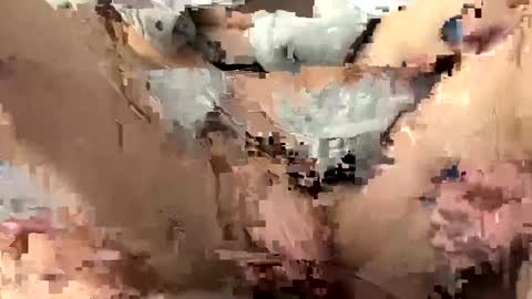 roidrager44 online show from March 6, 3:45 pm