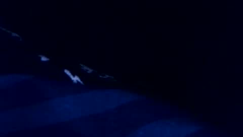 Snapshot of romain954 chatting on March 3, 8:48 pm romain online show from March 3, 8:48 pm