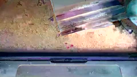 romeo9000x online show from January 6, 2:26 am