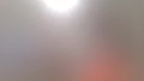 Snapshot of romeomustcum2016 chatting on November 17, 10:21 am Trinked online show from November 17, 10:21 am