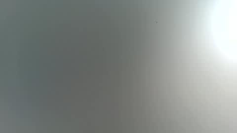 Snapshot of romeomustcum2016 chatting on November 22, 4:22 am Trinked online show from November 22, 4:22 am