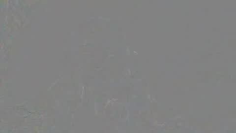 romiebi online show from June 18, 6:56 pm