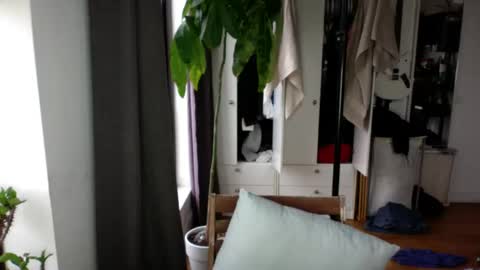 Snapshot of rosscollab chatting on November 19, 12:38 pm RossCollab online show from November 19, 12:38 pm